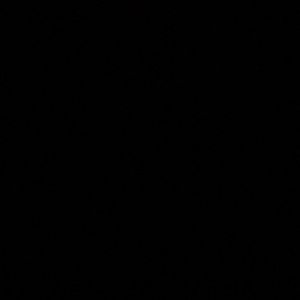 Meet your Posher, Yasmin